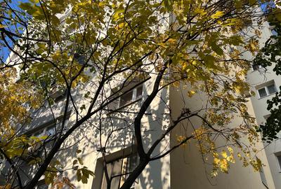 Tineretului Metrou Vedere Parc Tineretului Metrou Vedere Parc - 22