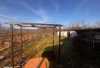 Casă cu 3 camere în Șieu - 3