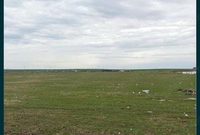 Teren în Cârcea - 1