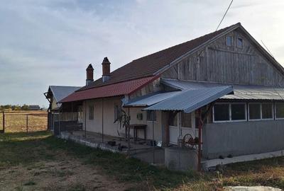 Casă cu 4 camere cu Teren 8700 Mp în Central - 7