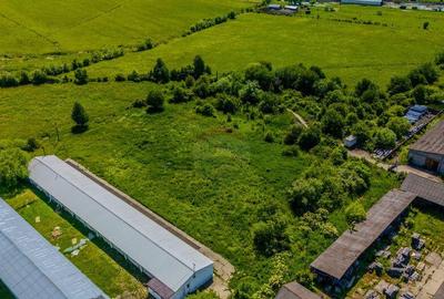 Teren de inchiriat9.335 mp, imprejmuit, camere TELIU... - 4