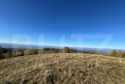 Teren extravilan 54.722 mp in Tarsa - 3