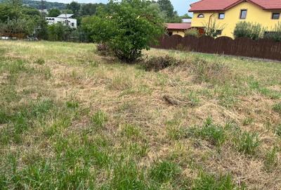 Teren intravilan 800 m Patriarh Iustinian Marina - 3