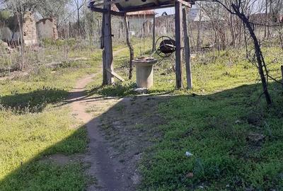 Casă cu 3 camere cu Teren 1284 Mp în Ostroveni - 1