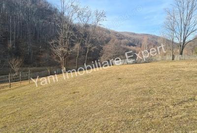 Teren de 4681 mp, în Bărăști - 15