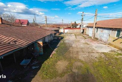 Spațiu comercial, de 820 mp, în Girișu de Criș - 10