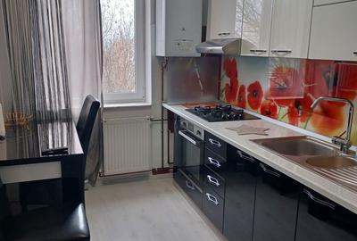 Apartament cu 2 camere semidecomandat în Radu Negru - 1