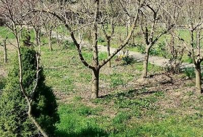 Casă în Racovițeni - 3