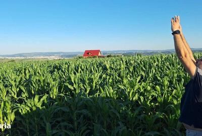 Teren de 1511 mp, în Rediu