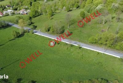 Teren de 6500 mp, în Sita Buzăului - 3
