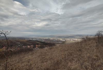 Teren intravilan 479mp in Dezmir - 15