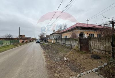 Casă / Vilă cu 3 camere de vânzare - 1