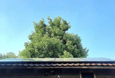 Cabana Insula Mures | 3 insule | cu iesire la Mures Cabana Insula Mures | 3 insule | cu iesire la Mures - 3