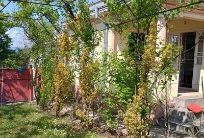 Casă cu 6 camere în Mărăști - 4