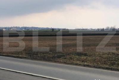 Teren de 30000 mp, în Central - 2