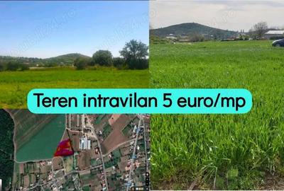 Teren de 7000 mp, în Telița - 4