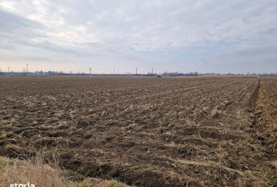 Teren de 5900 mp, în Satulung - 1