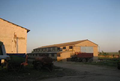 Teren intravilan 15.000 mp cu 3 hale industriale - Poarta Alba - 11