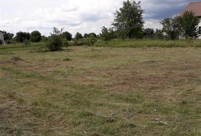 Teren de 960 mp, în Cornetu - 1