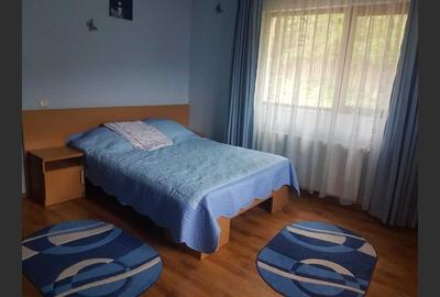 Holiday house/pension in Dâmbovicioara, Argeș - 7