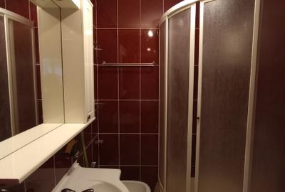 Apartament cu 2 camere semidecomandat în Banu Manta - 7
