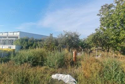 Teren de 3229 mp, în Bucovăț (Remetea Mare)