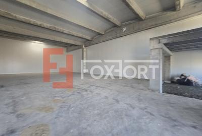 COMISION 0% Spatiu de depozitare 524 mp - Sanandrei - 3