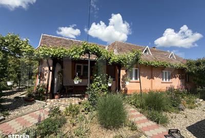Casă cu 4 camere cu Teren 6325 Mp în Medieșu Aurit - 3