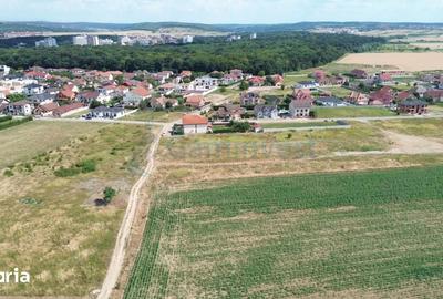 Teren de 1546 mp, în Sânmartin - 1