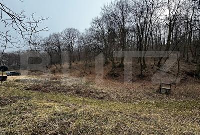 Teren intravilan de vanzare, 1872 mp, zona Valea Popii - Alba Iulia - 3