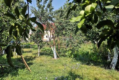 Casă cu 4 camere cu Teren 2463 Mp în Bartolomeu - 3