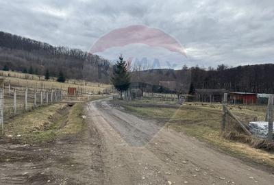 Teren Construcții intravilan de 999 mp, în Florești - 12