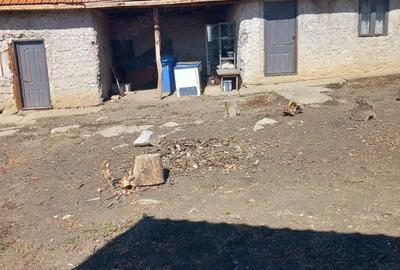 Casă cu 5 camere cu Teren 3100 Mp în Botoroaga - 3