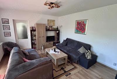 Vand doua case la Voivodeni - 3