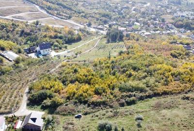 Teren Extravilan Bucium - Mun Iasi - 1