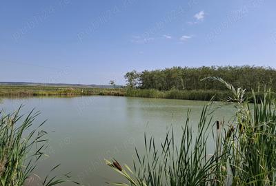 Casa cu lac in comuna Acas jud Saru Mare - 5