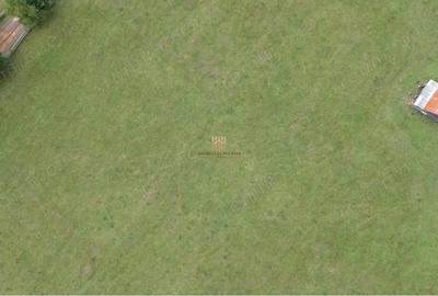 Teren de 16813 mp, în Fundu Moldovei - 7