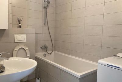 Garsoniera de inchiriat Nuferilor - 4