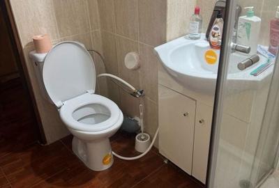 Garsonieră în Brazda lui Novac - 2