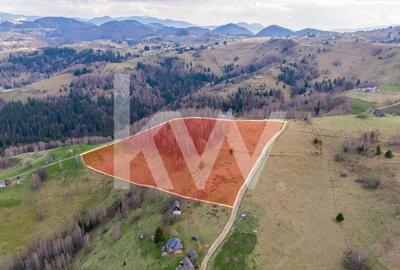 Teren agricol extravilan de 11105 mp, în Fundata - 1