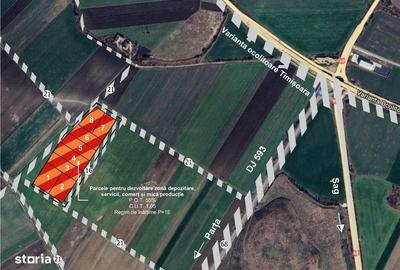 Teren de 50000 mp, în Șag