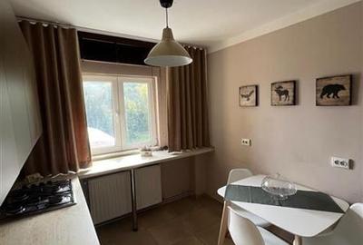 3D!Rezidenta decomandata,mobilata, accesorizata,priveliste montana,Racadau, Bras - 14