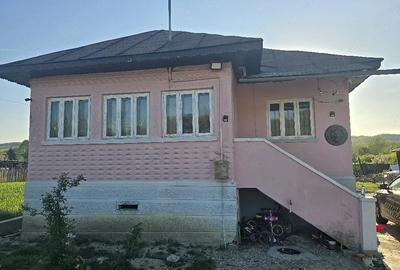 Casă cu Teren 4600 Mp în Tetoiu - 9