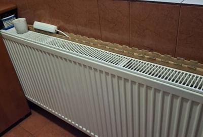 Apartament 1 camera Transformat in 2, Vidin , mobilat utilat - 10