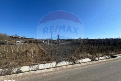 Spațiu comercial, în Movilița - 4