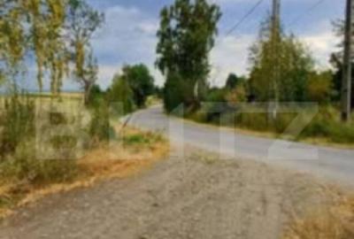 Teren extravilan 4265 mp, in Dangaul Mare - EXCLUSIVITATE - 4