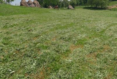 Casă cu 4 camere în Roșia