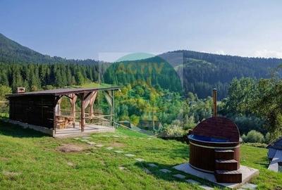 Casă cu 6 camere cu Teren 3980 Mp în Bicaz - 2