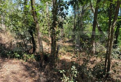 Teren de 3000 mp, în Central - 4