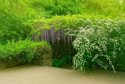 S1 Pădurea Baneasa Apartament Duplex în Vilă  Renovat Metro M6 Stația Bruxelles S1 Pădurea Baneasa Apartament Duplex în Vilă  Renovat Metro M6 Stația Bruxelles - 3